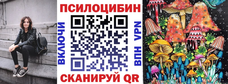 OMG как зайти Сатка Псилоцибиновые грибы Cubensis