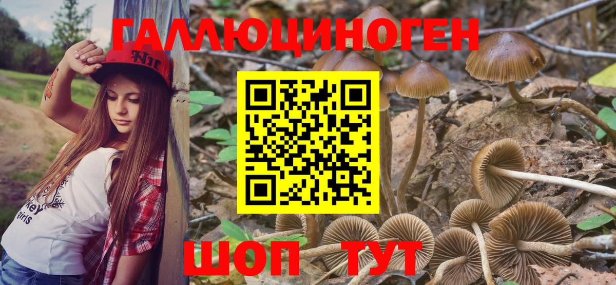 Псилоцибиновые грибы Cubensis  купить наркоту  Сатка  Вход с VPN 