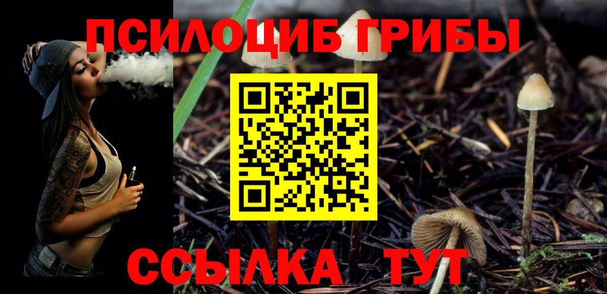 Псилоцибиновые грибы мицелий Сатка