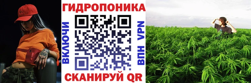 Марихуана сатива Сатка